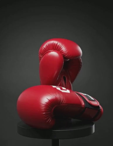 Boxing Gloves PU Training 12 oz